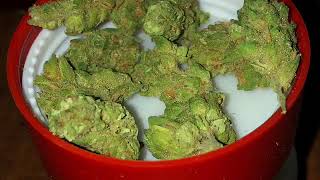 Legal Illinois Flower Review Cresco Island Sweet Skunk