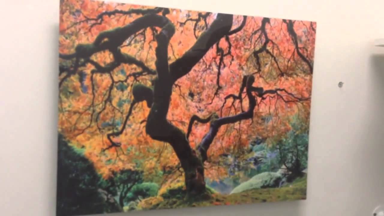 Japanese Maple Tree Metal Print Wall Art YouTube