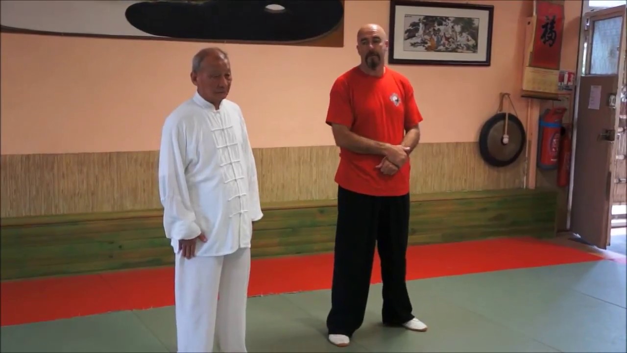 Maître  Ding Dahong Tui Shou Blagnac 2014 1er partie