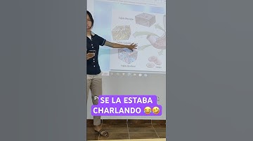 Suscribite para más consejos de programación ⬆️ #ia #programming #website #software #tech #app