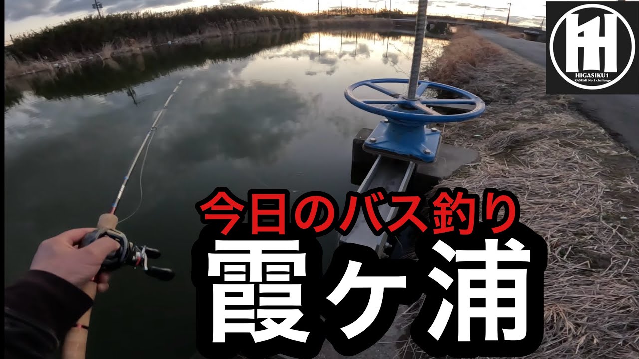 バス釣り霞ヶ浦！みんな知ってたと思うけどフロロとメタルバイブ‥2026年2月23日