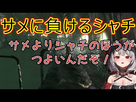 サメに倒されて負け惜しみをいう沙花叉【沙花叉クロヱ/切り抜き/ホロライブ】