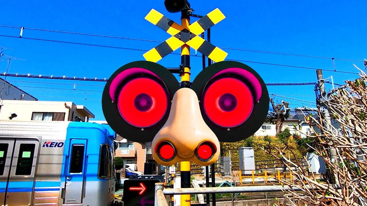 【電車】踏切動画【ふみきり 鉄道】train railway railroad level crossing 顔みたいな踏切