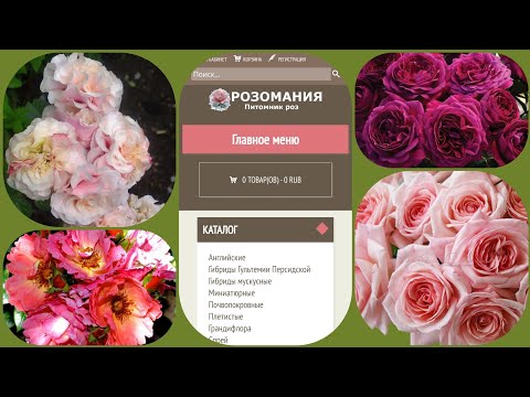 Обзор посылки с розами из питомника--- 