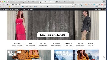 Cambiar css con simple custom css en Wordpress