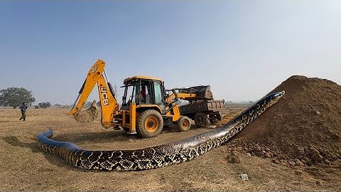 JCB 3dx Backhoe Loading Mud in Mahindra 275 Di tractor JCB miti Khudai #jcb #jcbvideo