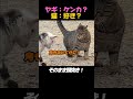 お互い勘違いｗ
