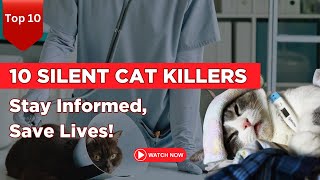 Are You Unintentionally Harming Your Cat? by Pets Pine 341 views 2 months ago 2 minutes, 56 seconds