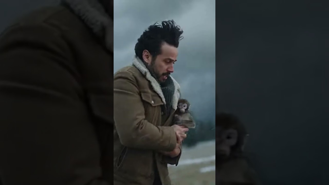 "Man Saves Monkey from Storm and Brings It to Safety" 