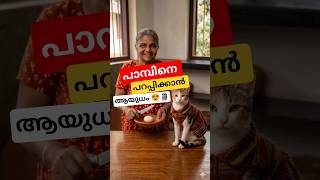 പാമ്പിനെ അകറ്റാൻ 🥰 #malayalamcooking #malayalam #food #keralaayurveda #cats #snake #Kerala #shorts
