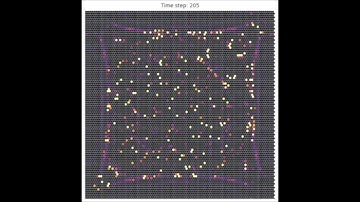 Fractal Non Commutative  (With Music)