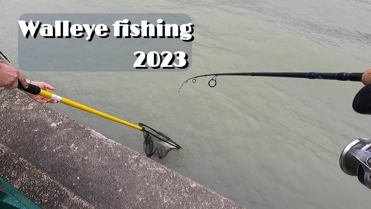 Catching Walleye From Shore. The 2023 Walleye Fishing has Begun