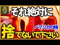 損してます！パプリカの種は捨てずにこうするとめっちゃお得【再生栽培】【家庭菜園】【園芸】