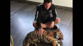 Achilles graduation video Black Jaguar White Tiger Achilles