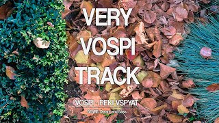 Vospi - Reki Vspyat (PREMIERE) | Track and Talk