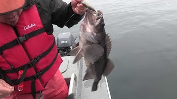 Rockfish Triple