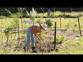 Getting our homestead ready for spring 