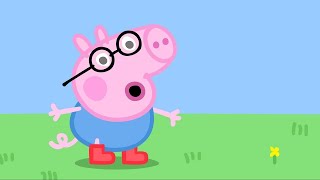 Cartoon Kids - Português Brasil - O Exame De Vista Peppa Pig - Peppa Pig Em Português Brasil