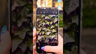Xiaomi 17 Ultra: 400mm Zoom vs Normal Shot!