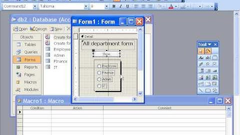 MS Access 2003 Part 15) Form in Dari / Farsi Omar Akbari