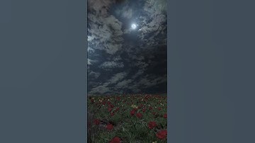 AI-Generated Videos of Nature -#travel #nature #aigenerated #ai