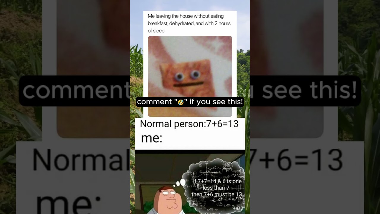 1 sub = 1 meme 🔥🔥🔥 