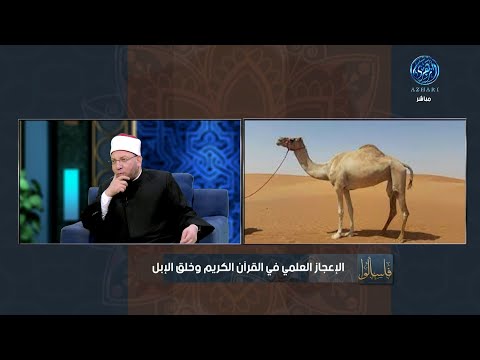 لماذا خص الله الابل بالذكر الحكمة من تقديم ذكر خلق الإبل على السماء والجبال