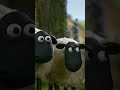 シャーリーボール 🐑🥎 | ひつじのショーン #shorts