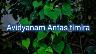 Avidyanam Anthasthimira ringtone#Ringtone lovers#album song