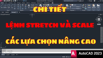 Autocad cơ bản - Lệnh kéo giãn và thay đổi tỉ lệ (Stretch and Scale)