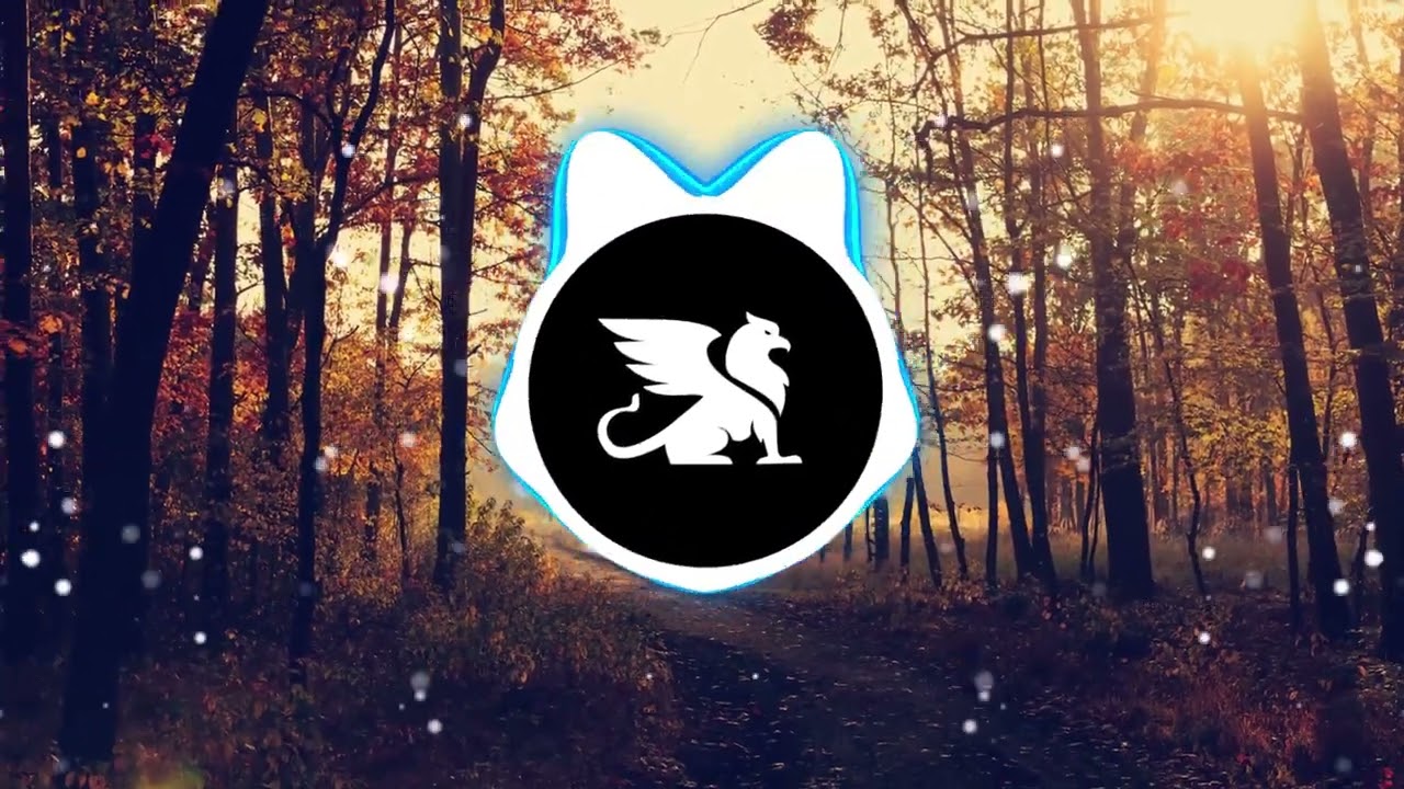 Nicky Youre, dazy Sunroof i got my head out the sunroof [TikTok