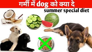 गर्मी में dog को क्या दे / summer special diet plan/ best food for dog
