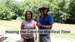 Our First Time Growing Corn in Years