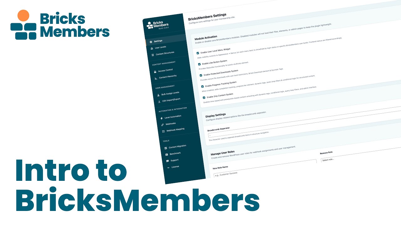 BricksMembers Introduction - Membership & LMS Plugin for Bricks Builder ...