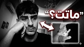 ما كنت متوقع اني افقدها .. 💔🐈 ( آخر مرة اجيب قطة )