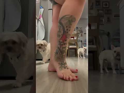 Intermission: Latina Queen Red Ranger Pedicured Toes Stomp And Grind
