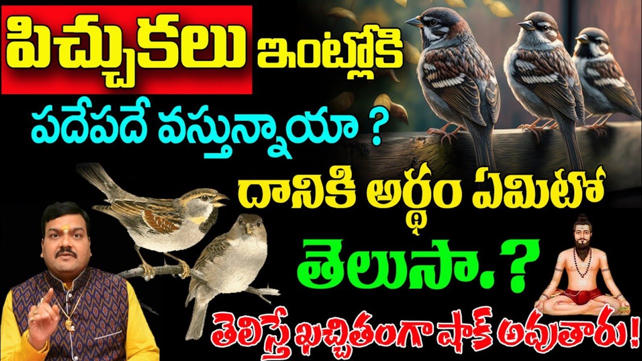 పిచ్చుకలు ఇంట్లోకి పదే పదే వస్తున్నాయా దానికి అర్థం ఏంటోతెలుసా||Dharmasandehalu About Birds #sparrow