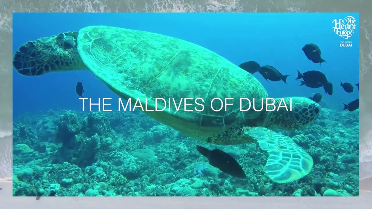 The Heart of Europe. The luxury of nature.