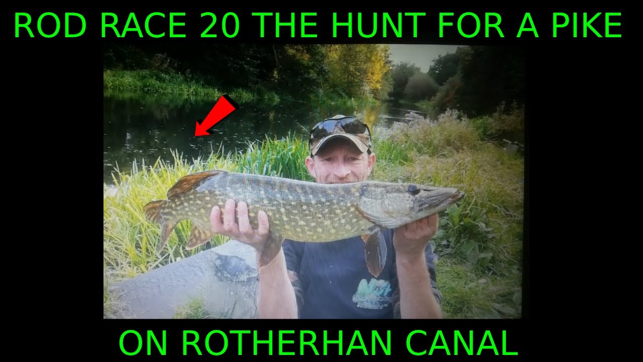 INSANE PIKE FISHING ON ROTHERHAM CANAL ROD RACE 20 YouTube
