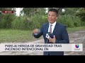 🔴 EN VIVO | Noticias Univision Tampa Bay I 12:30 p.m. 11/11/24