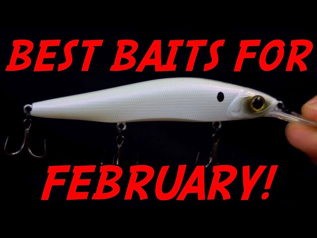 3 MUST HAVE Baits for February Bass Fishing! 