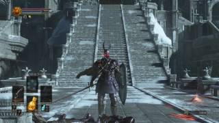Dark Souls Iii Silver Knight Messing With Me