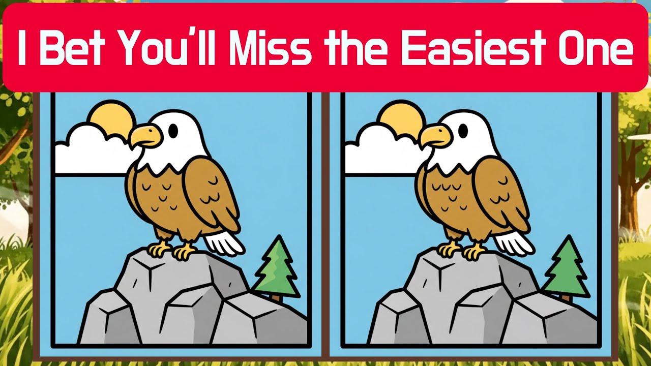 🦉 I Bet You’ll Miss the Easiest One | Detective Owl 🦉