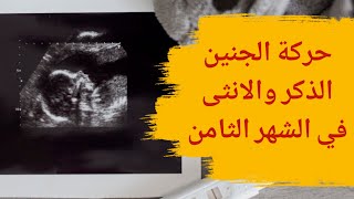 حركة الجنين الذكر والانثى في الشهر الثامن | حركة الجنين الولد والبنت في الشهر الثامن من الحمل