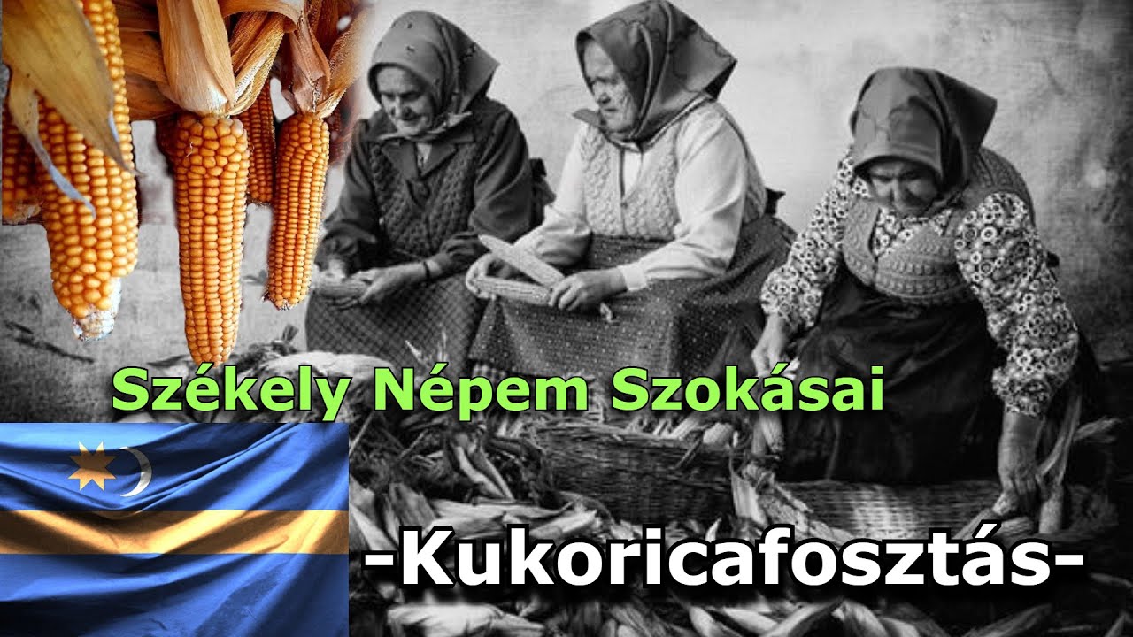 Székely népem szokásai #15 🌽-KUKORICAFOSZTÁS-🌽