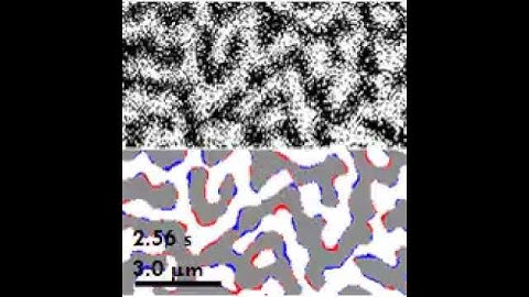 Spontaneous fluctuations in a ferromagnetic film