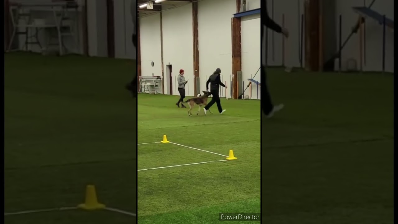 TOKO AVOIN LUOKKA 8.1.2023 PORVOO