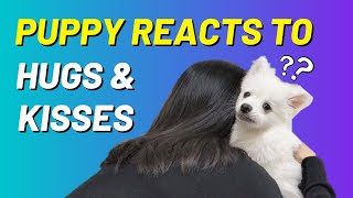 My Dog Reacts to Hugs & Kisses by Sarangsnowbear 416 views 1 year ago 1 minute, 59 seconds
