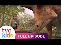 DINO DANA Season 3 Nest Defence Full Episode DINO DANA Season 3 Nest Defence Full Episode