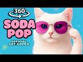 Cat Memes - Soda Pop (Cover Version) 360° VR